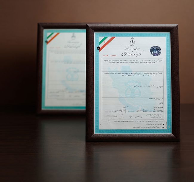 تأسست شركة آتيه سازان نكين فراز عام 2000م بالعلامة التجارية L.lion وبدأت العمل والفعاليات منذ ذلك الوقت.