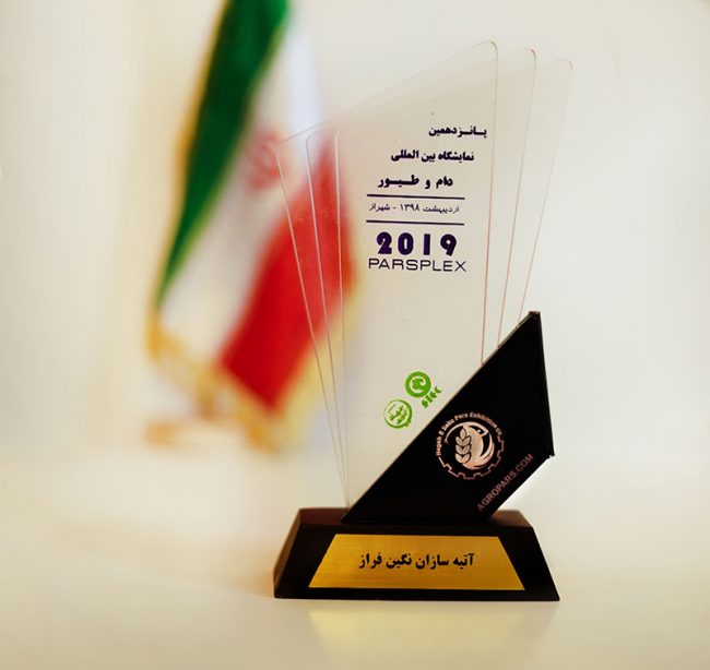 تأسست شركة آتيه سازان نكين فراز عام 2000م بالعلامة التجارية L.lion وبدأت العمل والفعاليات منذ ذلك الوقت.