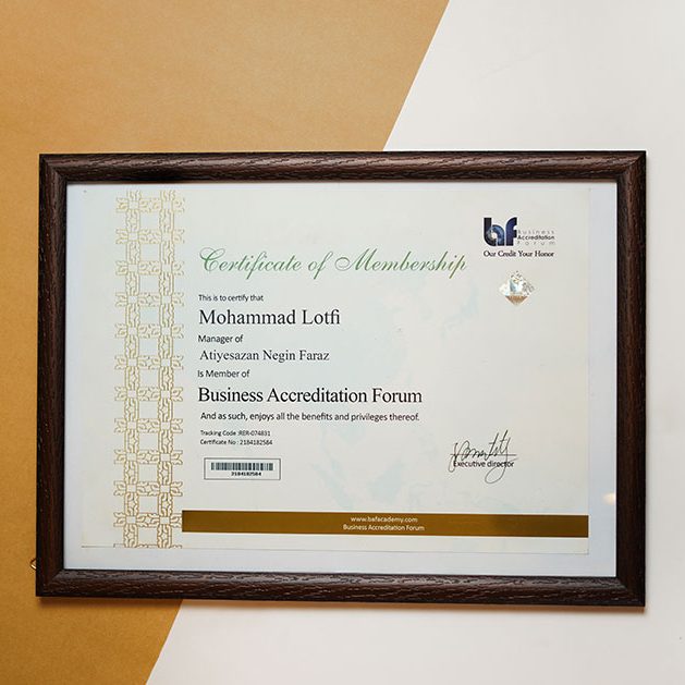 تأسست شركة آتيه سازان نكين فراز عام 2000م بالعلامة التجارية L.lion وبدأت العمل والفعاليات منذ ذلك الوقت.