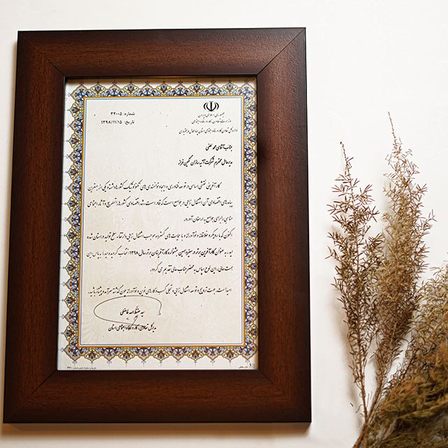 تأسست شركة آتيه سازان نكين فراز عام 2000م بالعلامة التجارية L.lion وبدأت العمل والفعاليات منذ ذلك الوقت.