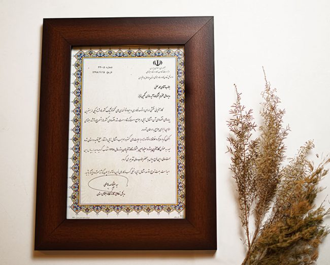 تأسست شركة آتيه سازان نكين فراز عام 2000م بالعلامة التجارية L.lion وبدأت العمل والفعاليات منذ ذلك الوقت.