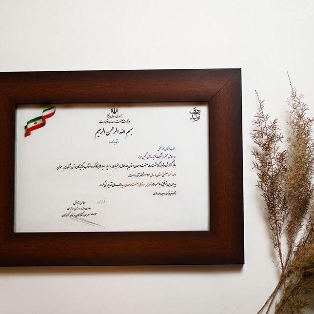 تأسست شركة آتيه سازان نكين فراز عام 2000م بالعلامة التجارية L.lion وبدأت العمل والفعاليات منذ ذلك الوقت.