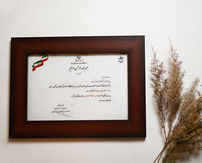 تأسست شركة آتيه سازان نكين فراز عام 2000م بالعلامة التجارية L.lion وبدأت العمل والفعاليات منذ ذلك الوقت.