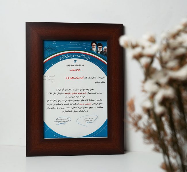 تأسست شركة آتيه سازان نكين فراز عام 2000م بالعلامة التجارية L.lion وبدأت العمل والفعاليات منذ ذلك الوقت.