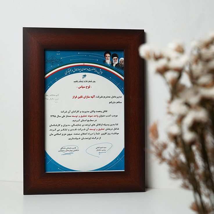 تأسست شركة آتيه سازان نكين فراز عام 2000م بالعلامة التجارية L.lion وبدأت العمل والفعاليات منذ ذلك الوقت.