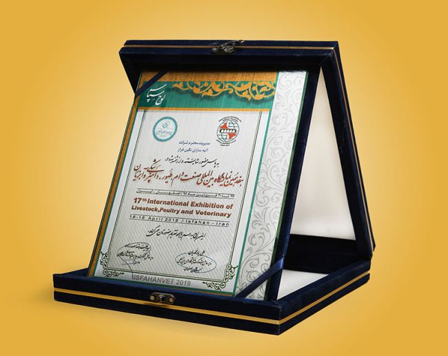 تأسست شركة آتيه سازان نكين فراز عام 2000م بالعلامة التجارية L.lion وبدأت العمل والفعاليات منذ ذلك الوقت.