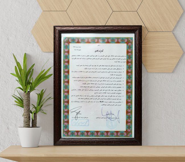 تأسست شركة آتيه سازان نكين فراز عام 2000م بالعلامة التجارية L.lion وبدأت العمل والفعاليات منذ ذلك الوقت.