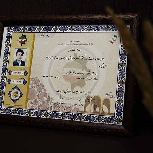 تأسست شركة آتيه سازان نكين فراز عام 2000م بالعلامة التجارية L.lion وبدأت العمل والفعاليات منذ ذلك الوقت.