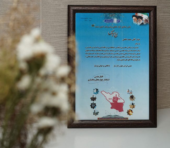 تأسست شركة آتيه سازان نكين فراز عام 2000م بالعلامة التجارية L.lion وبدأت العمل والفعاليات منذ ذلك الوقت.
