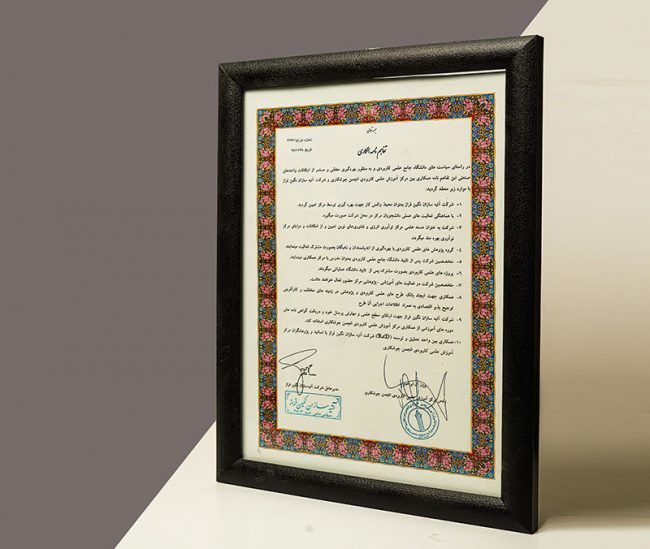 تأسست شركة آتيه سازان نكين فراز عام 2000م بالعلامة التجارية L.lion وبدأت العمل والفعاليات منذ ذلك الوقت.