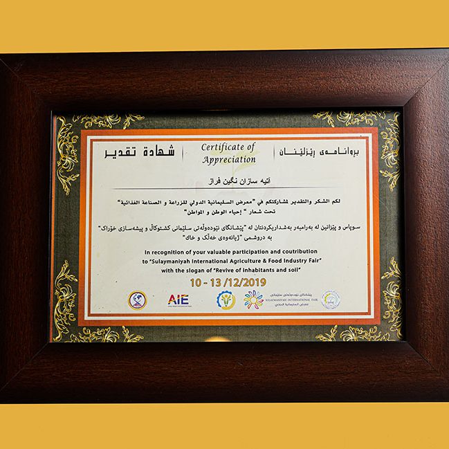 تأسست شركة آتيه سازان نكين فراز عام 2000م بالعلامة التجارية L.lion وبدأت العمل والفعاليات منذ ذلك الوقت.