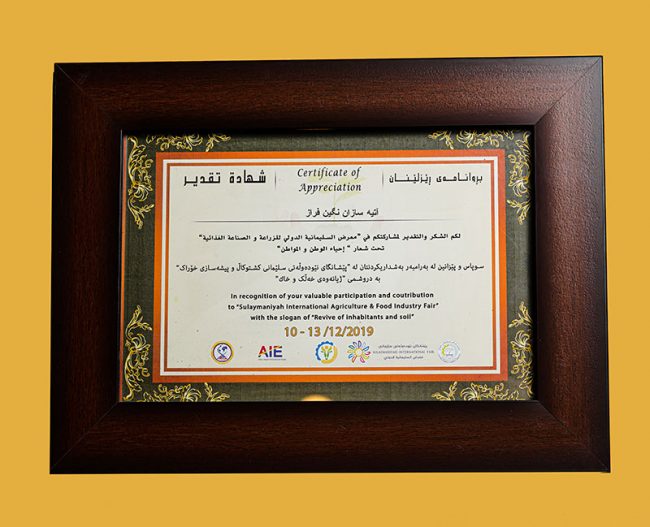 تأسست شركة آتيه سازان نكين فراز عام 2000م بالعلامة التجارية L.lion وبدأت العمل والفعاليات منذ ذلك الوقت.